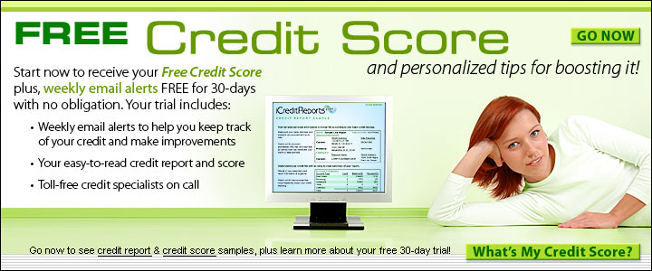 Credit Card Reports